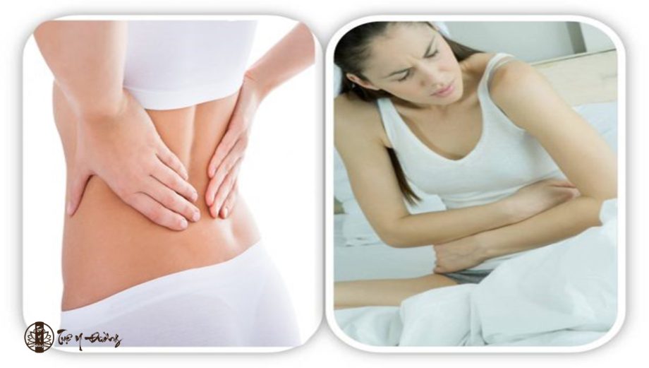 Nặng bụng, tức bụng, đau vùng hạ vị hoặc hố chậu là các biểu hiện của u xơ tử cung