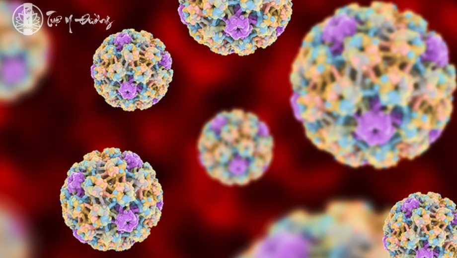 Virus HPV gây ra Sùi mào gà - Tuệ Y Đường