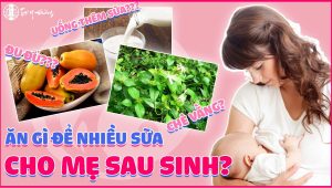 Top các thực phẩm lợi sữa - Tuệ Y Đường - BS Trần Thu Huyền - BS Đoàn Dung