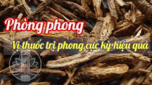 Phòng khám Tuệ Y Đường, BS Thu Huyền, BS Đoàn Dung