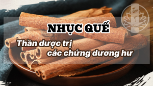 Phòng khám Tuệ Y Đường, BS Thu Huyền, BS Đoàn Dung