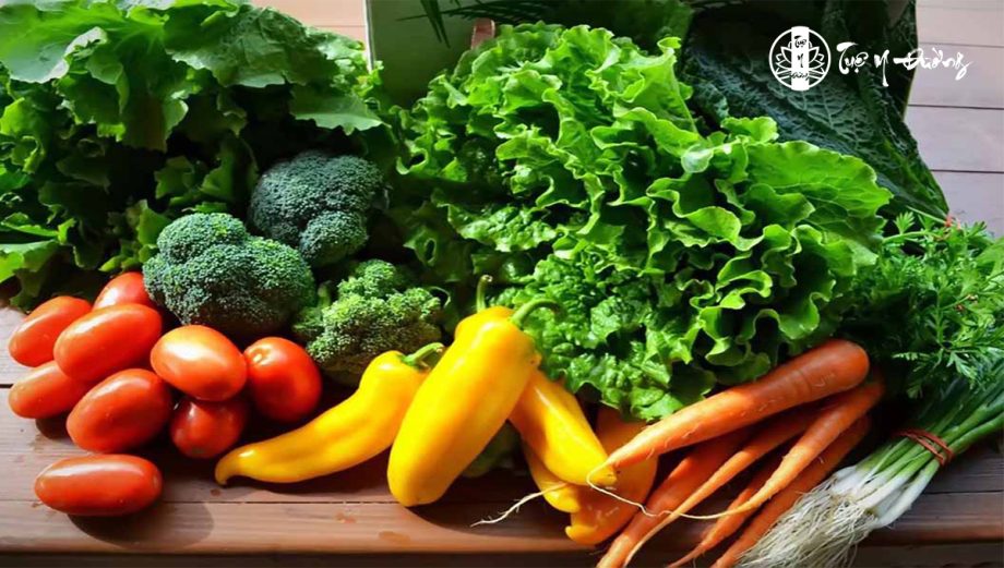 Rau xanh là một nguồn thực phẩm cung cấp nhiều chất dinh dưỡng quan trọng cho các hoạt động sống trong cơ thể
