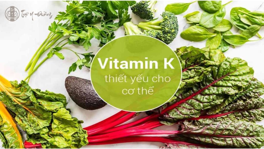 Vitamin K - Vitamin thiết yếu cho cơ thể - Tuệ Y Đường