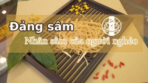 Phòng khám Tuệ Y Đường, BS Thu Huyền, BS Đoàn Dung