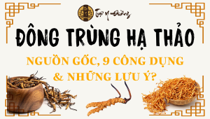 Đông trùng hạ thảo: nguồn gốc, công dụng và lưu ý