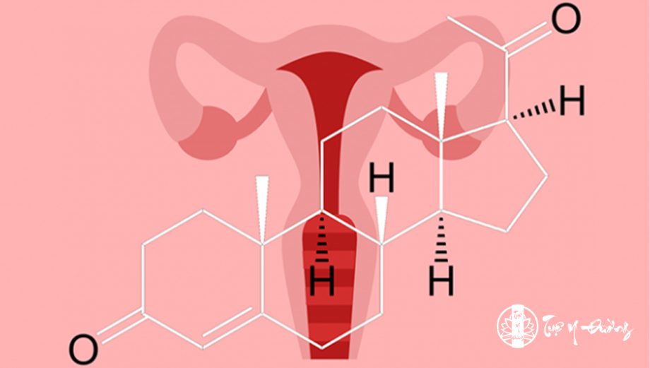 Hormone sử dụng trong que cấy tránh thai là các progesterone: Levonorgestrel hay etonogestrel.