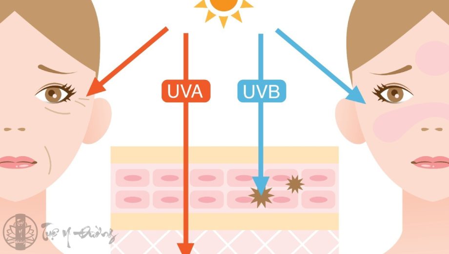 Tác hại của tia UV với làn da