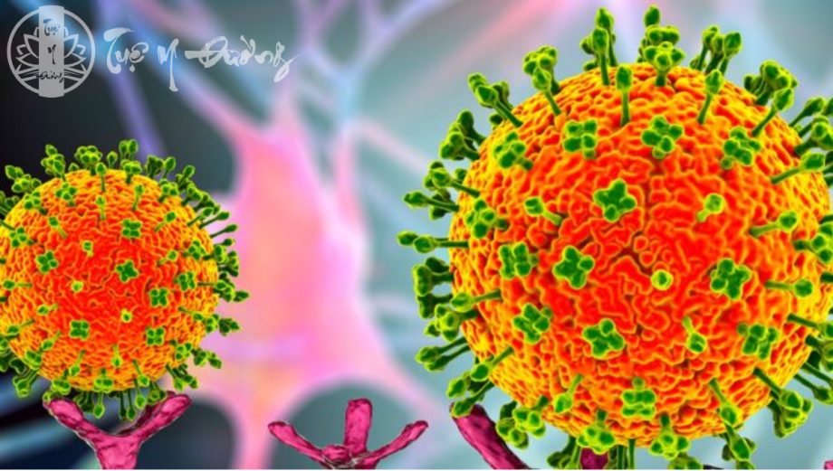 Các nhà khoa học đánh giá sự xuất hiện gần đây của Henipavirus với tư cách là mầm bệnh truyền từ động vật, có khả năng gây bệnh và tử vong là thực trạng đáng lo ngại. 