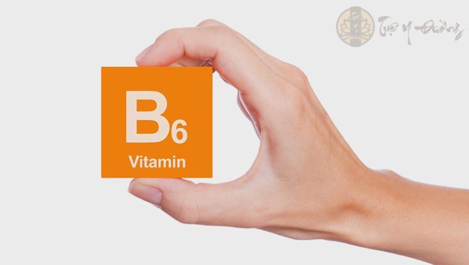 Vitamin B6 đóng vai trò quan trọng trong rất nhiều chức năng của hệ thần kinh, gan và cà bộ phận có lớp sừng