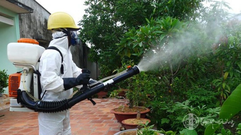 Nên dọn dẹp nhà cửa, phòng sạch sẽ, thoáng mát và sử dụng thêm các loại thuốc để diệt côn trùng