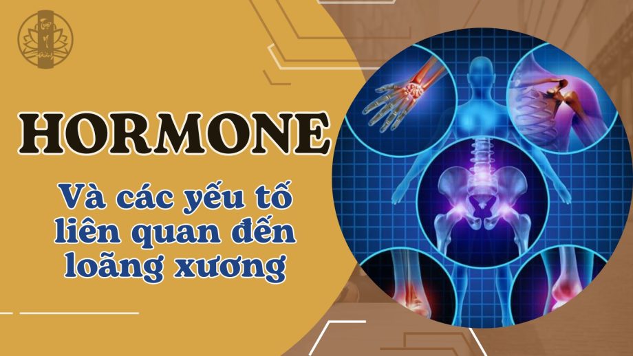 Hormone và các yếu tố liên quan đến Loãng Xương