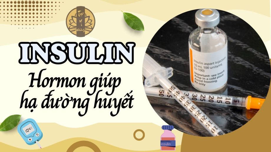 Insulin - Hormon giúp hạ đường huyết