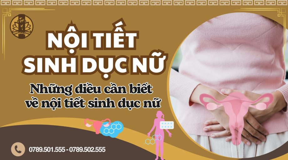 Những điều cần biết về nội tiết sinh dục nữ