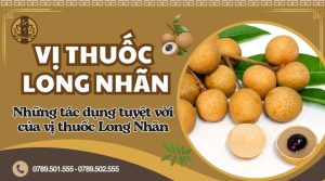 Vị thuốc Long Nhãn