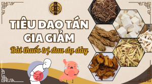 Tiêu Dao Tán gia giảm bài thuốc trị đau dạ dày