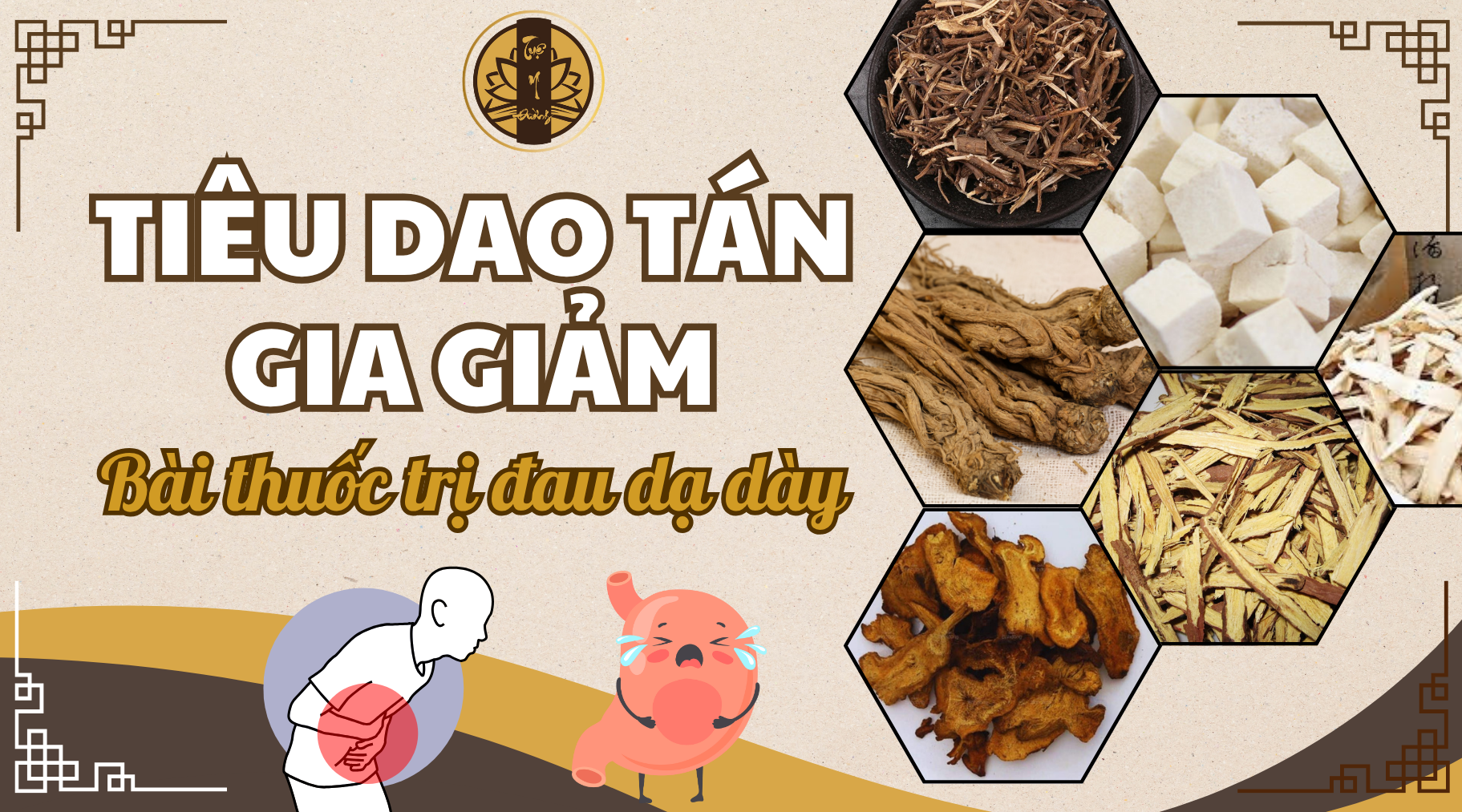 Tiêu Dao Tán gia giảm bài thuốc trị đau dạ dày