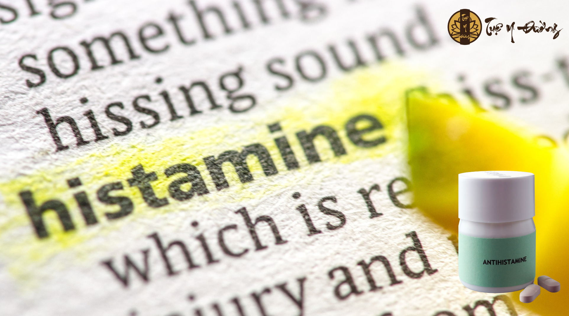 Thuốc kháng histamin: giúp giảm ngứa, dị ứng