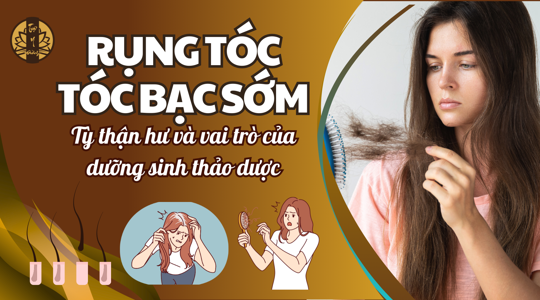 Rụng tóc, tóc bạc sớm - Tỳ thận dương hư và vai trò dưỡng sinh thảo dược