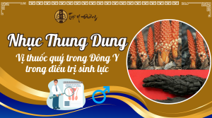 Nhục Thung Dung - Dược liệu quý trong Đông Y điều trị sinh lực