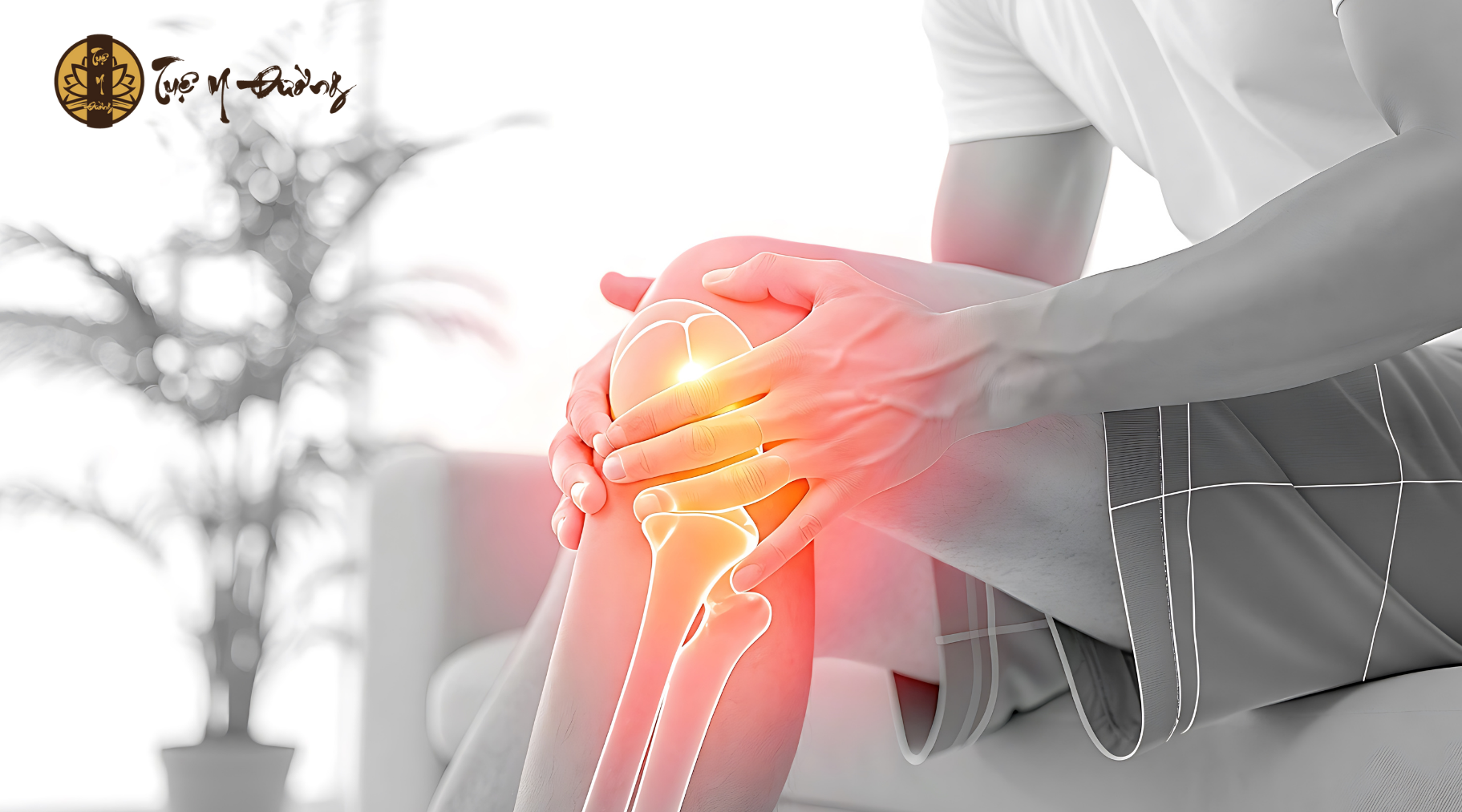 Thuốc bổ dương có tác dụng Bổ thận dương, mạnh gân cốt → hỗ trợ phục hồi cơ bắp sau suy nhược, bệnh lâu ngày.