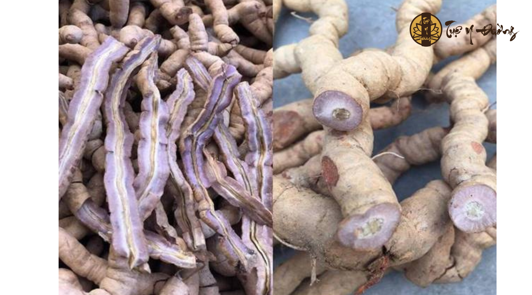 Vị thuốc ba kích