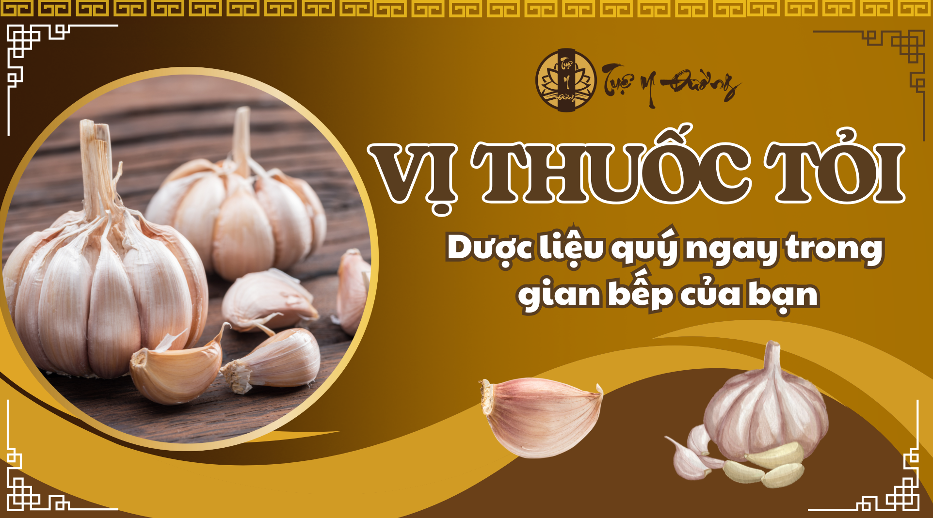 Vị thuốc Tỏi - Dược liệu quý trong giai bếp của bạn