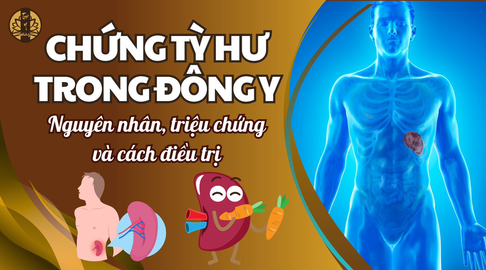 Chứng tỳ hư trong đông y - Nguyên nhân, triệu chứng và cách điều trị