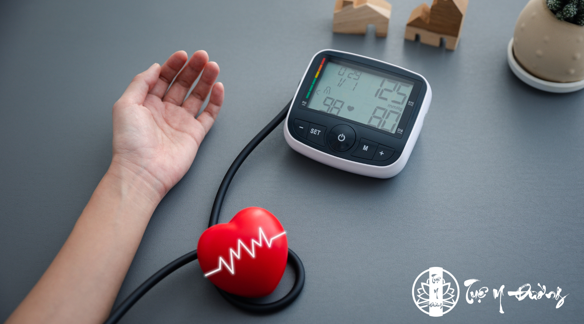 Tỏi chứa các hợp chất sulfur giúp giảm cholesterol xấu (LDL), tăng cholesterol tốt (HDL), đồng thời có tác dụng giãn mạch nhẹ, hỗ trợ ổn định huyết áp.