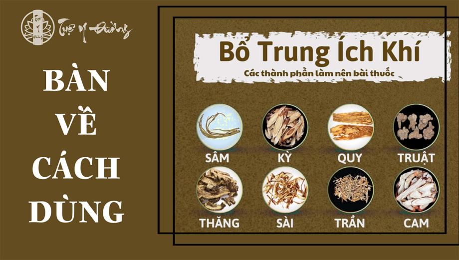 Bài thuốc bổ trung ích khí thang trong điều trị tỳ hư