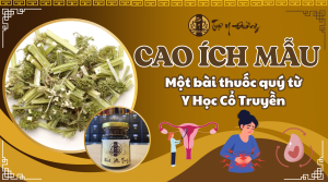 Cao ích mẫu - Một bài thuốc quý trong Y Học Cổ Truyền