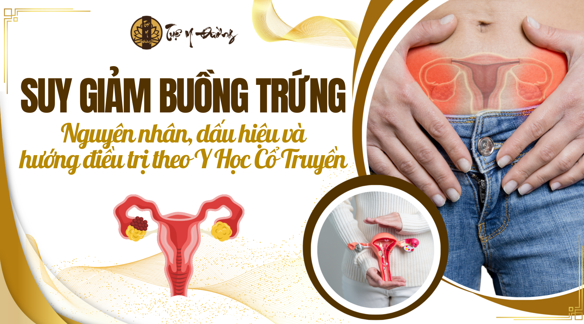 Suy giảm buồng trứng - Dấu hiệu, nguyên nhân và cách điều trị theo Y Học Cổ Truyền