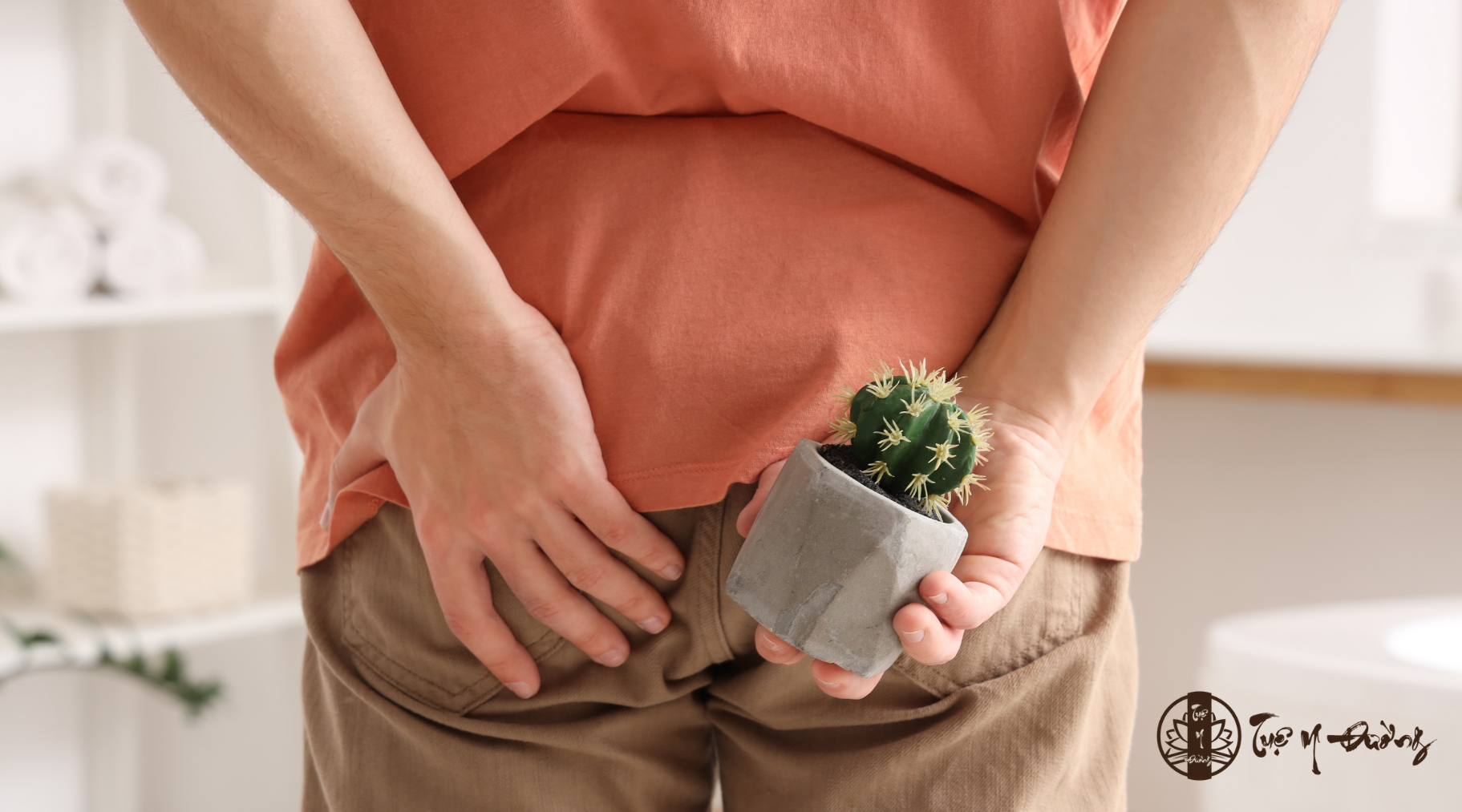 Bài thuốc có tác dụng trong điều trị Trĩ nội do khí hư