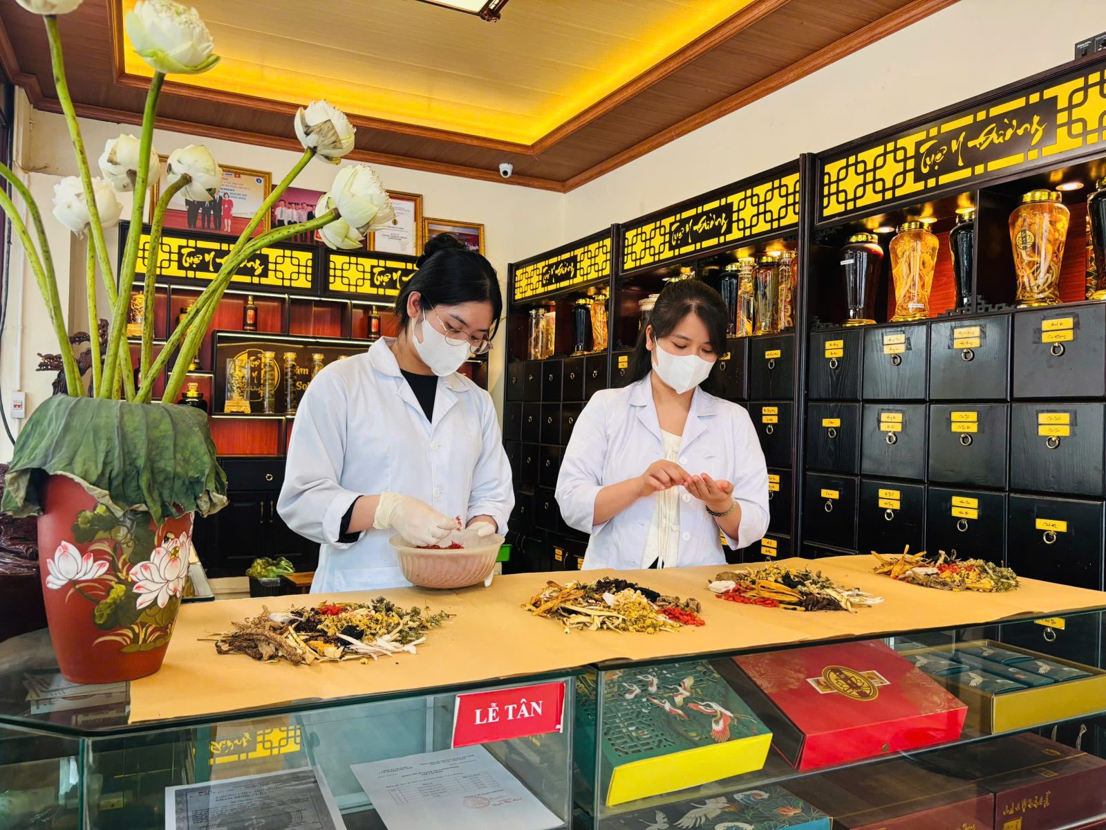 Bác sĩ Xuân Quỳnh và bác sĩ Đoàn Dung bốc thuốc thang cho bệnh nhân tại Tuệ Y Đường